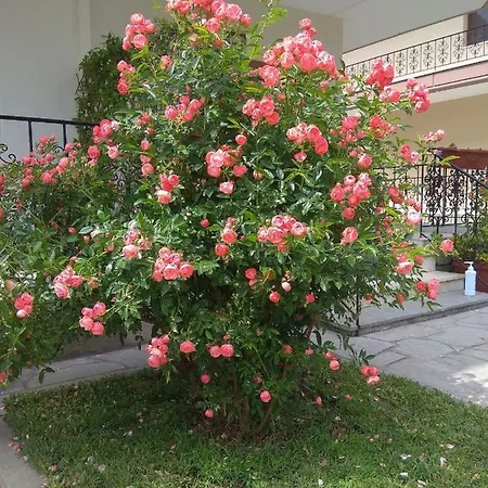 Apartment Stefanie's *