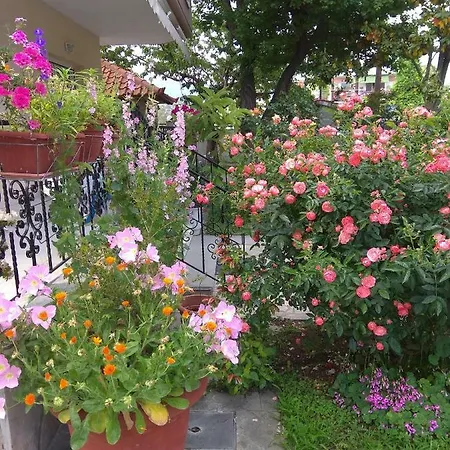 Stefanie's Asproválta